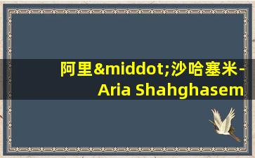 阿里·沙哈塞米-Aria Shahghasemi多高